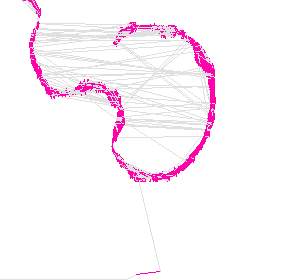 skeleton_paint_BACKLASH_FIXED (9).gcode preview